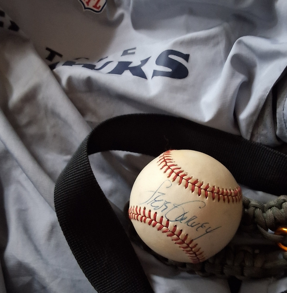 Steve Garvey Autographed Balls (1)